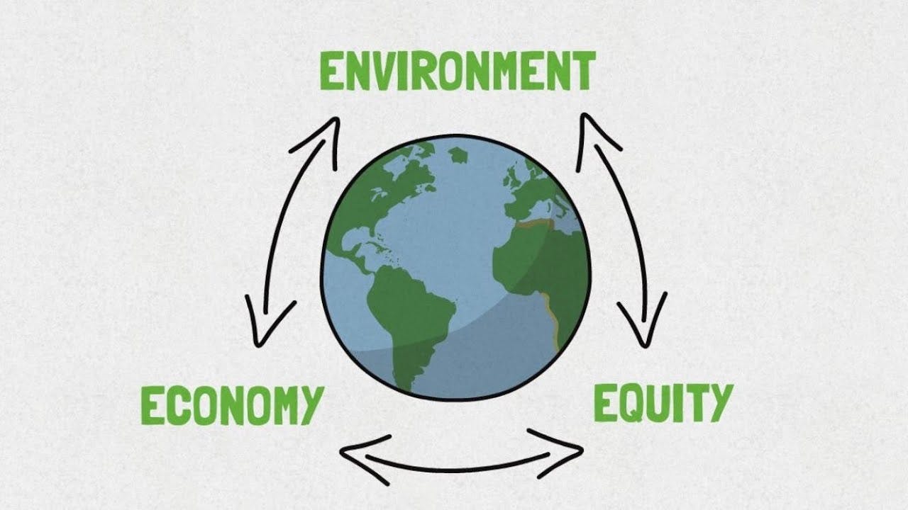 How to achieve environmental sustainability