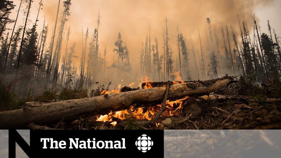 Canada Wildfires: Causes, Consequences and Lessons