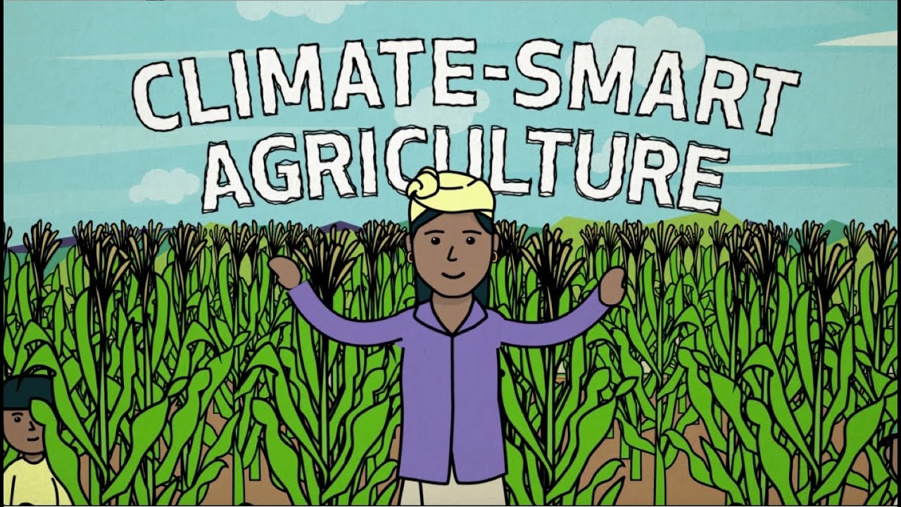 Climate Smart Farming: All You Need To Know In 2024