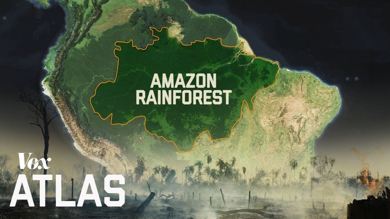 A preserved  rainforest worth USD $317 billion per year