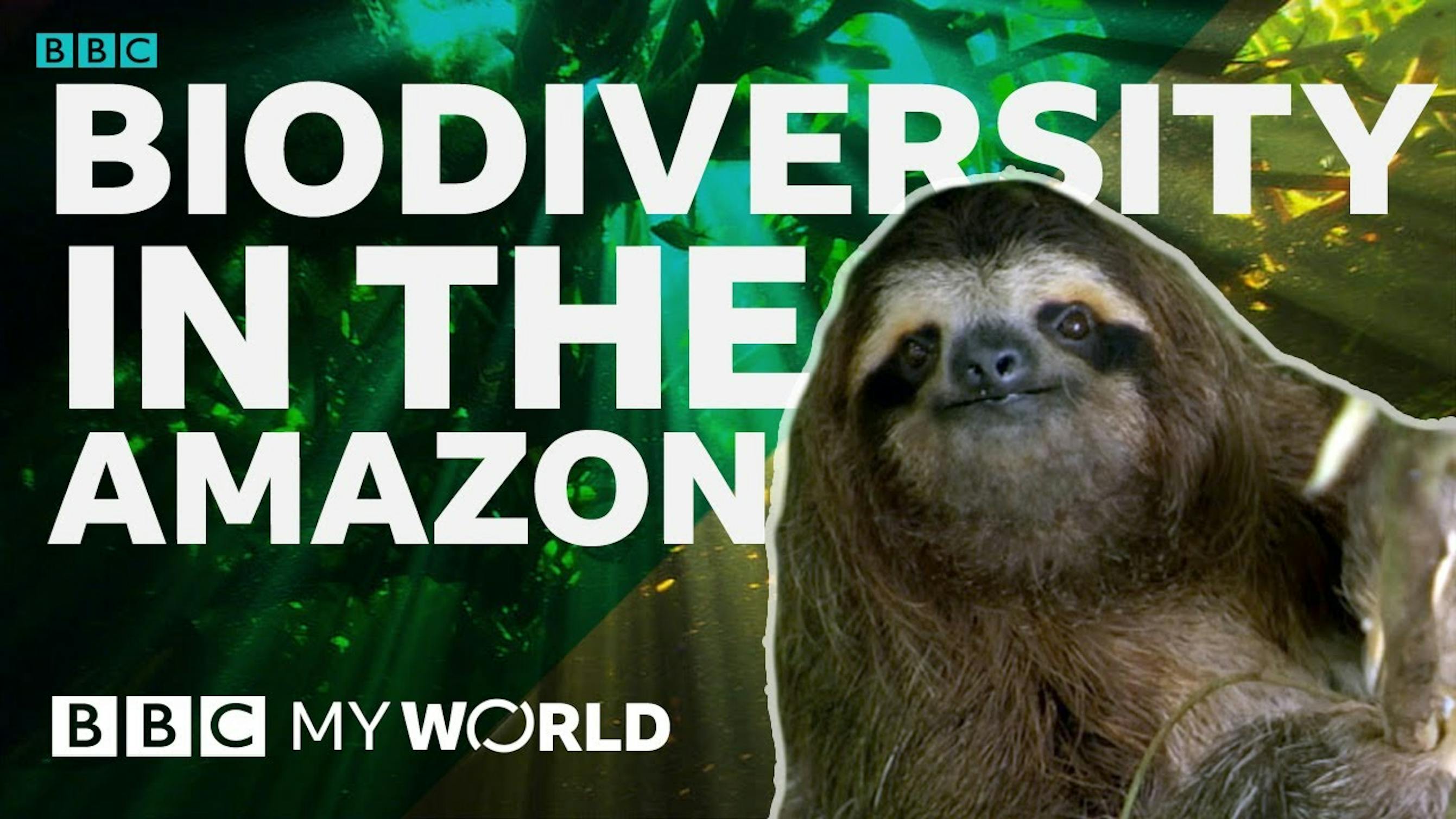 youtube screenshot