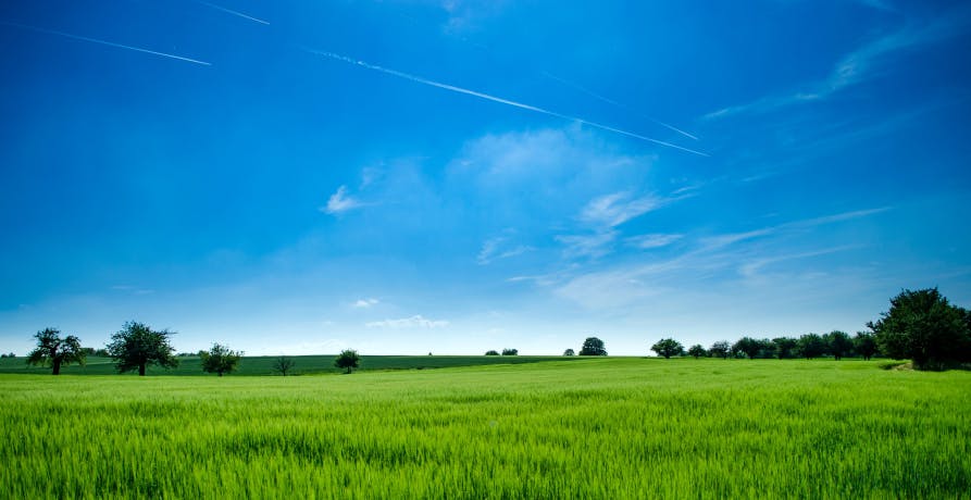 field in the countryside