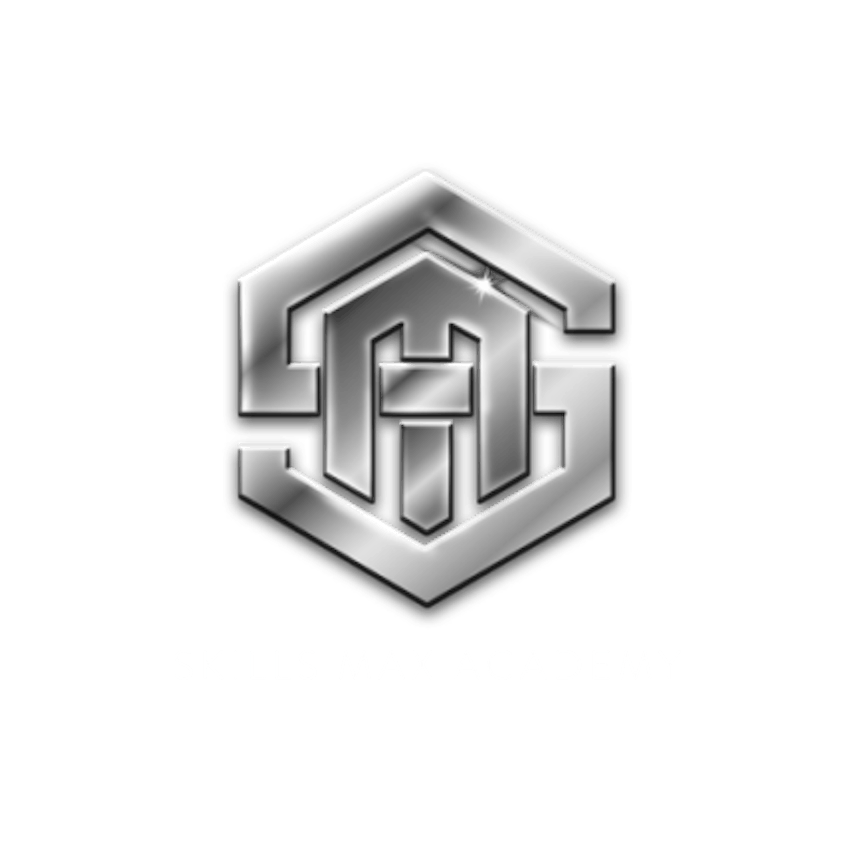 Skills Max Academy logo