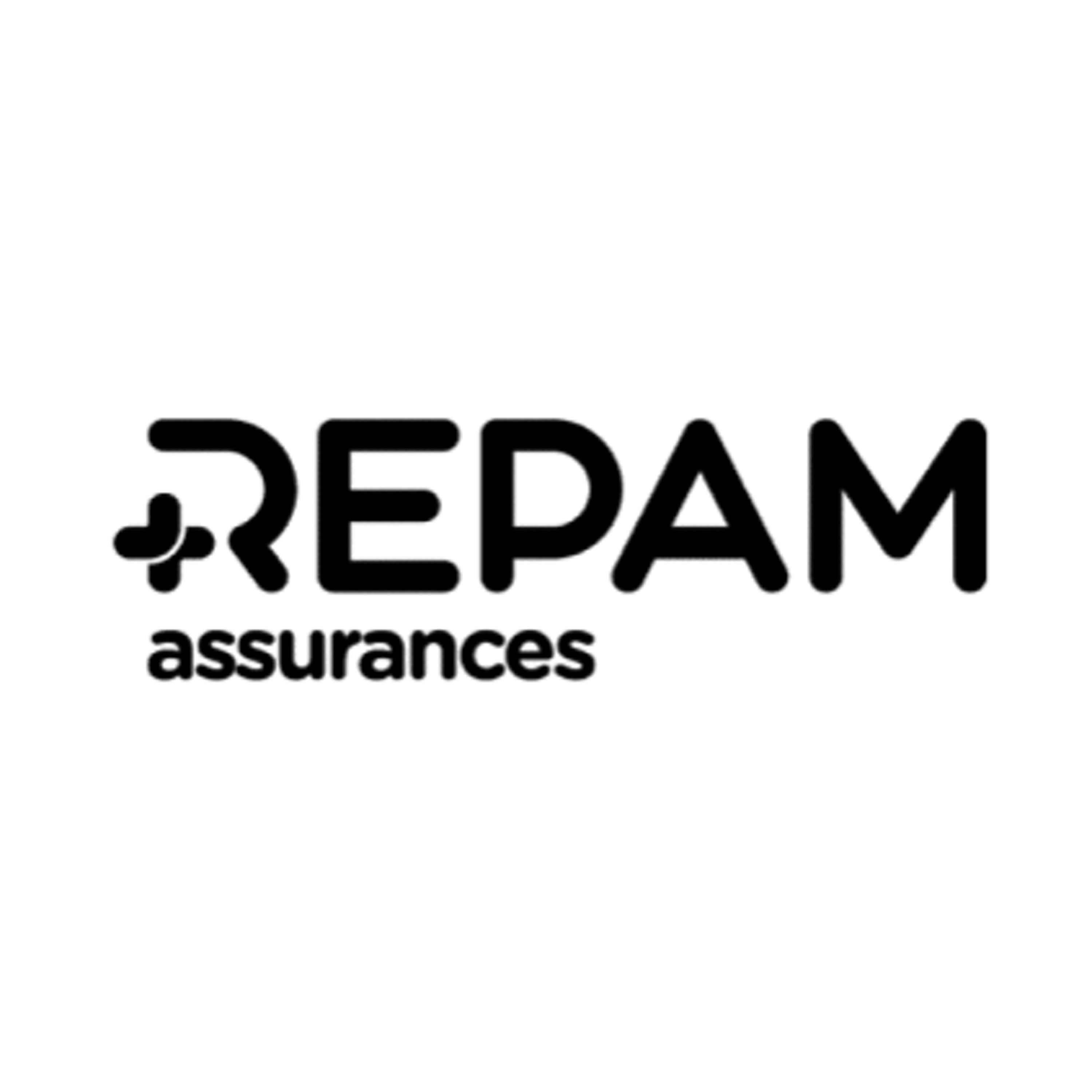 Repam logo