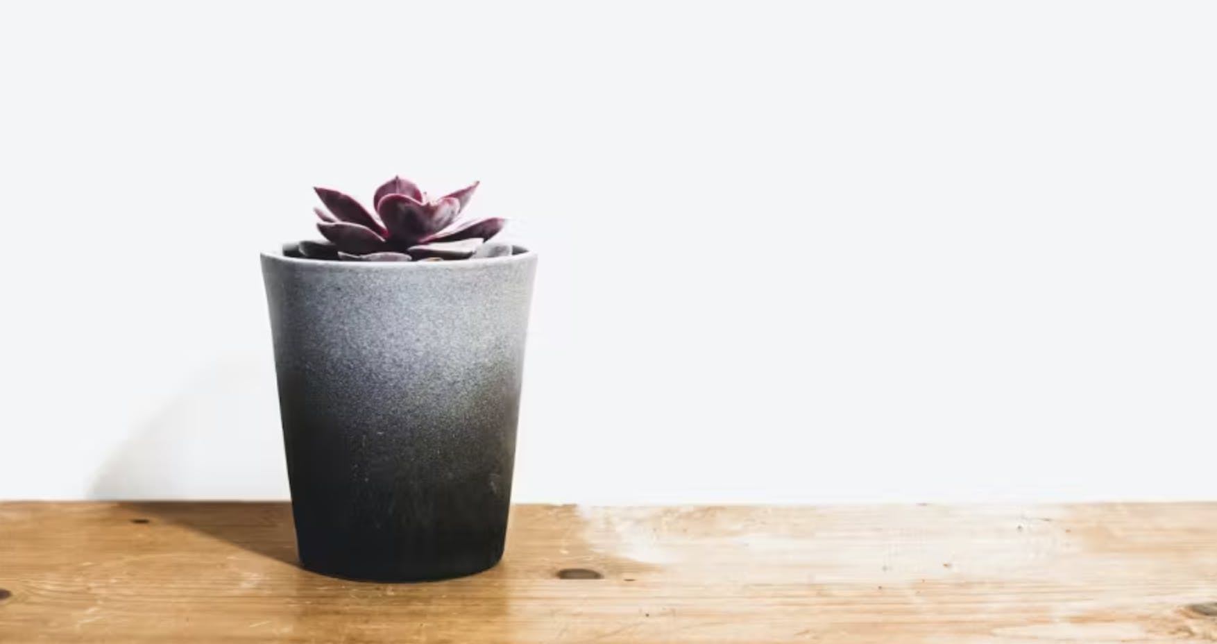 Pot avec un plante sur une table en bois