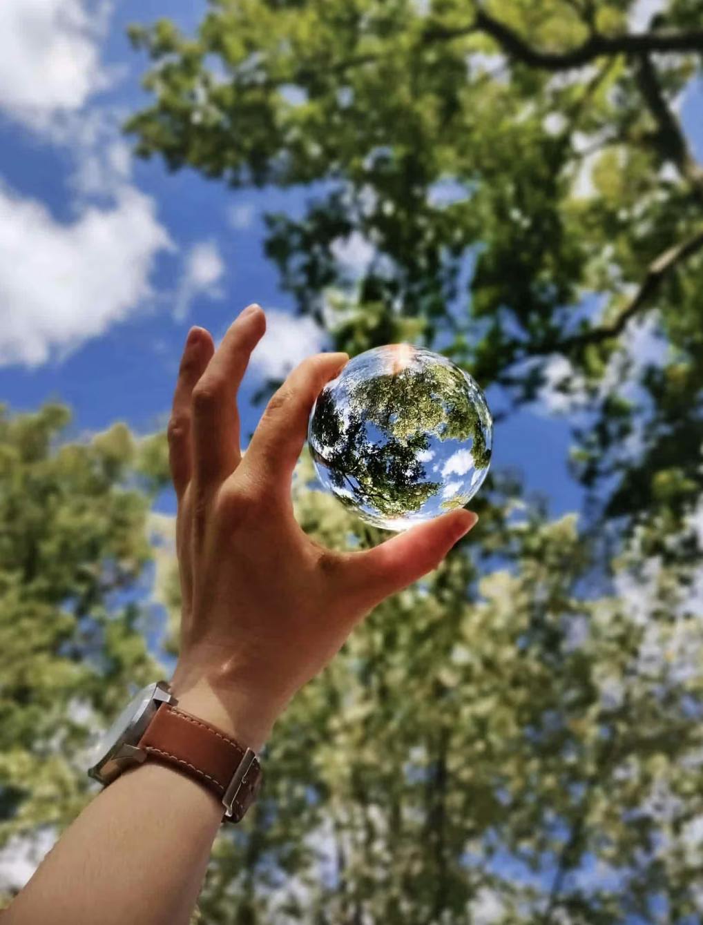 Une main tenant un globe en verre devant la nature