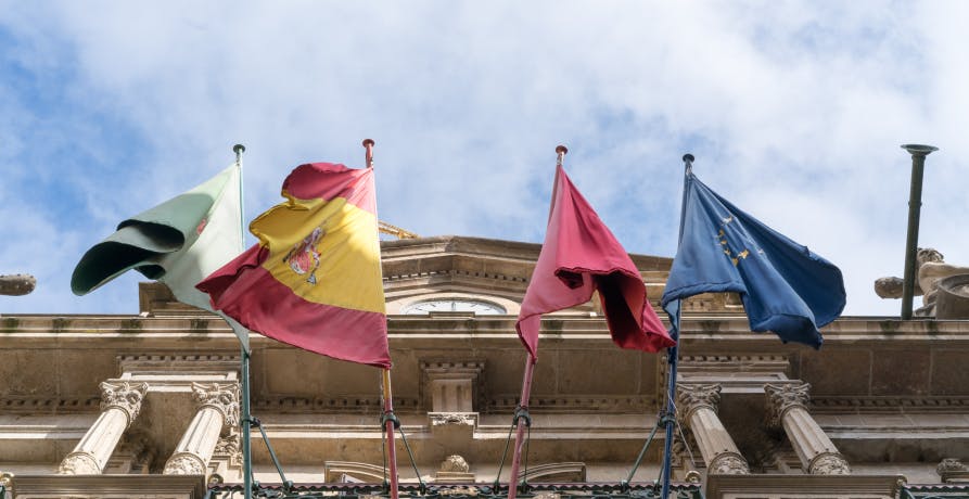 European flags outside a building