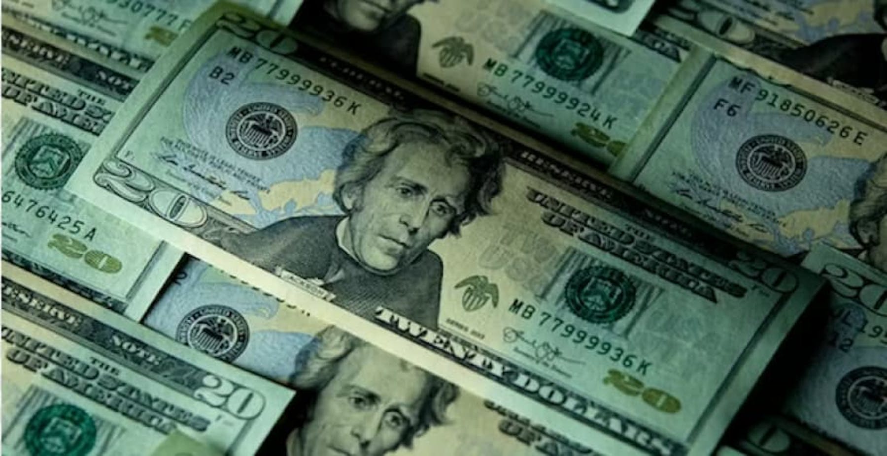 USD $20 bills muted green