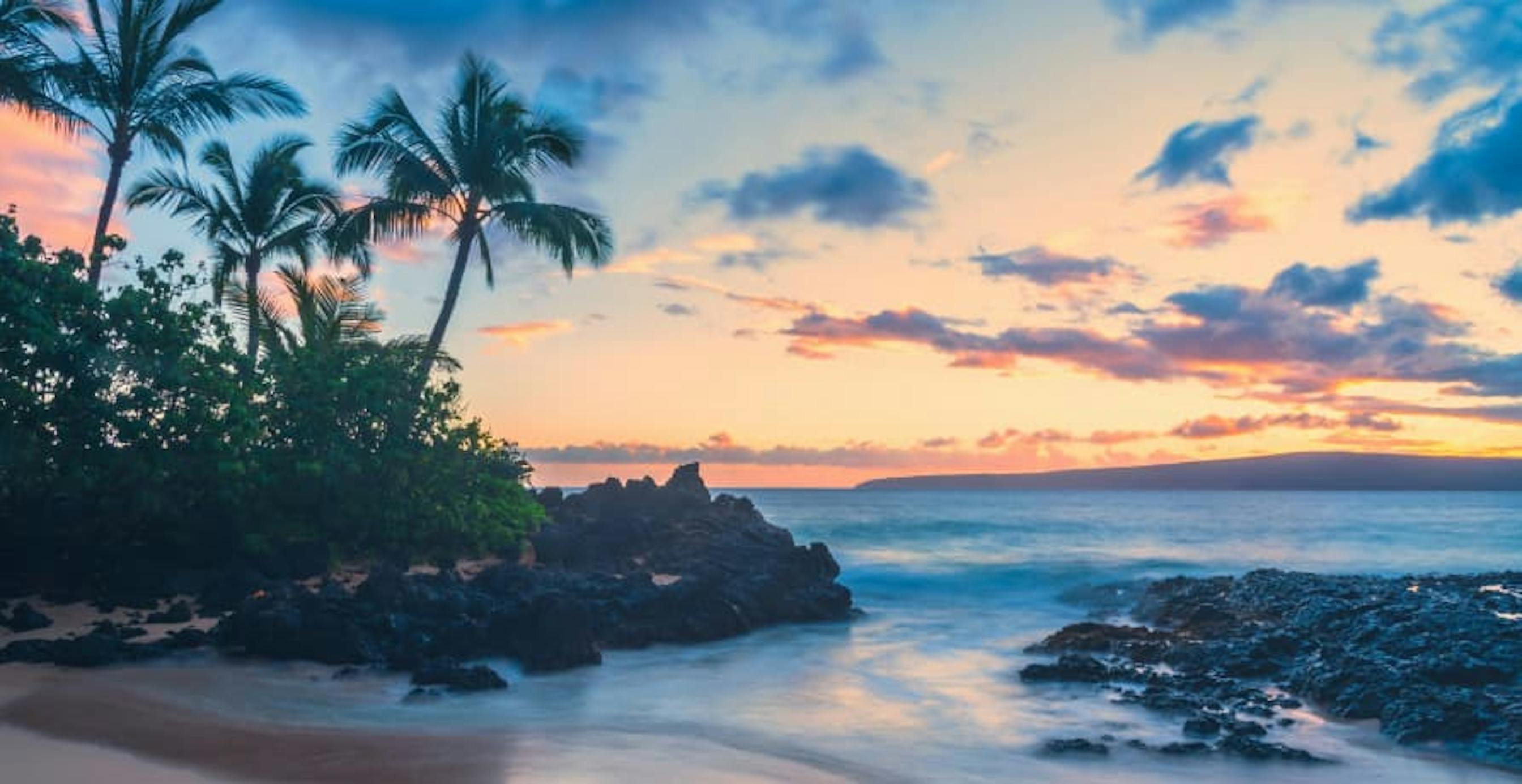 sunset on beach palm trees