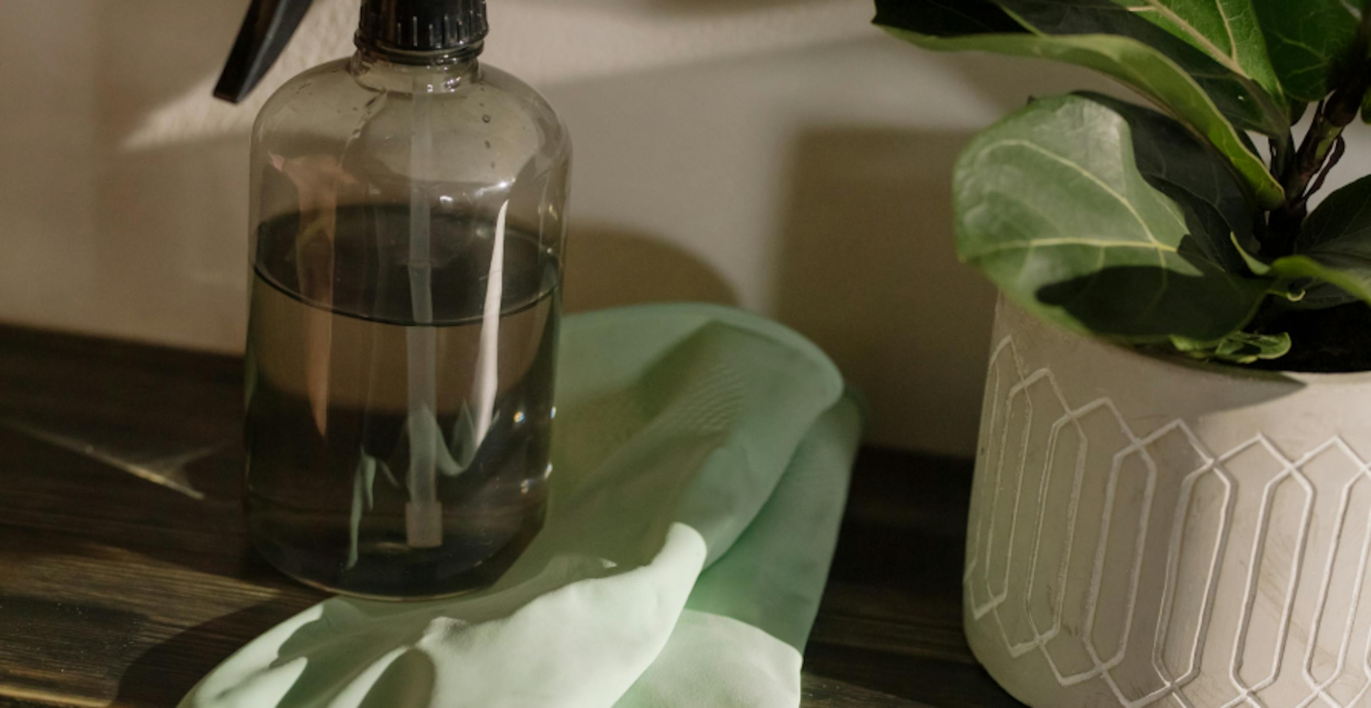 cleaning supplies