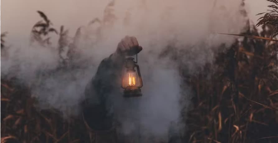 Man holding a hand lamp inside a forest covered by smoke