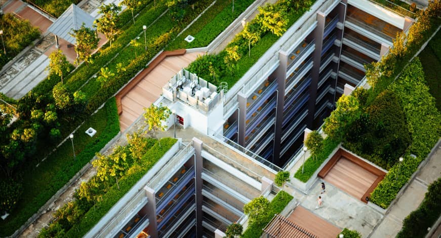 office buildings with green vegetation