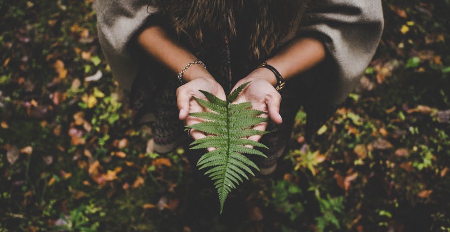 woman holding leaf in forest