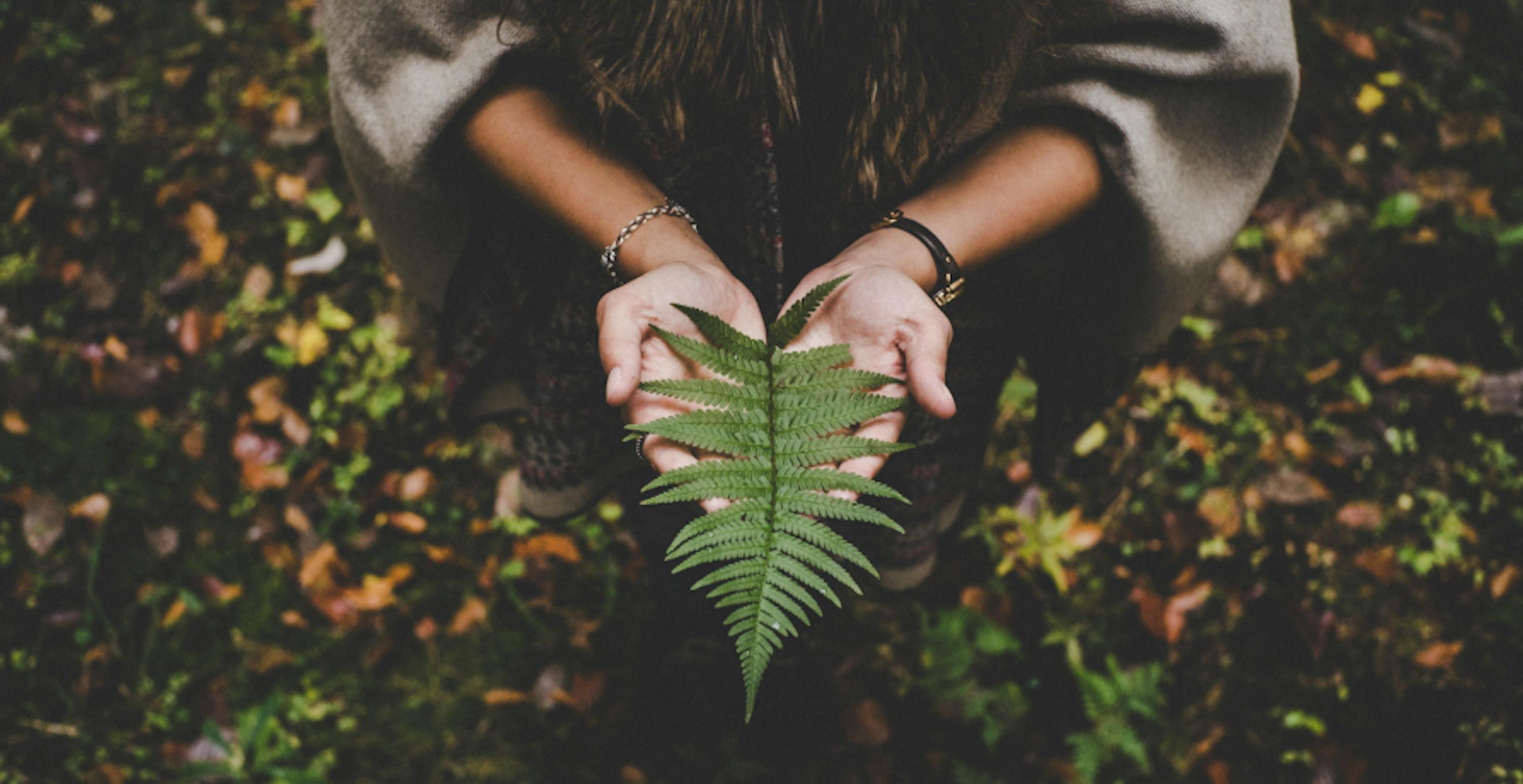 woman holding leaf