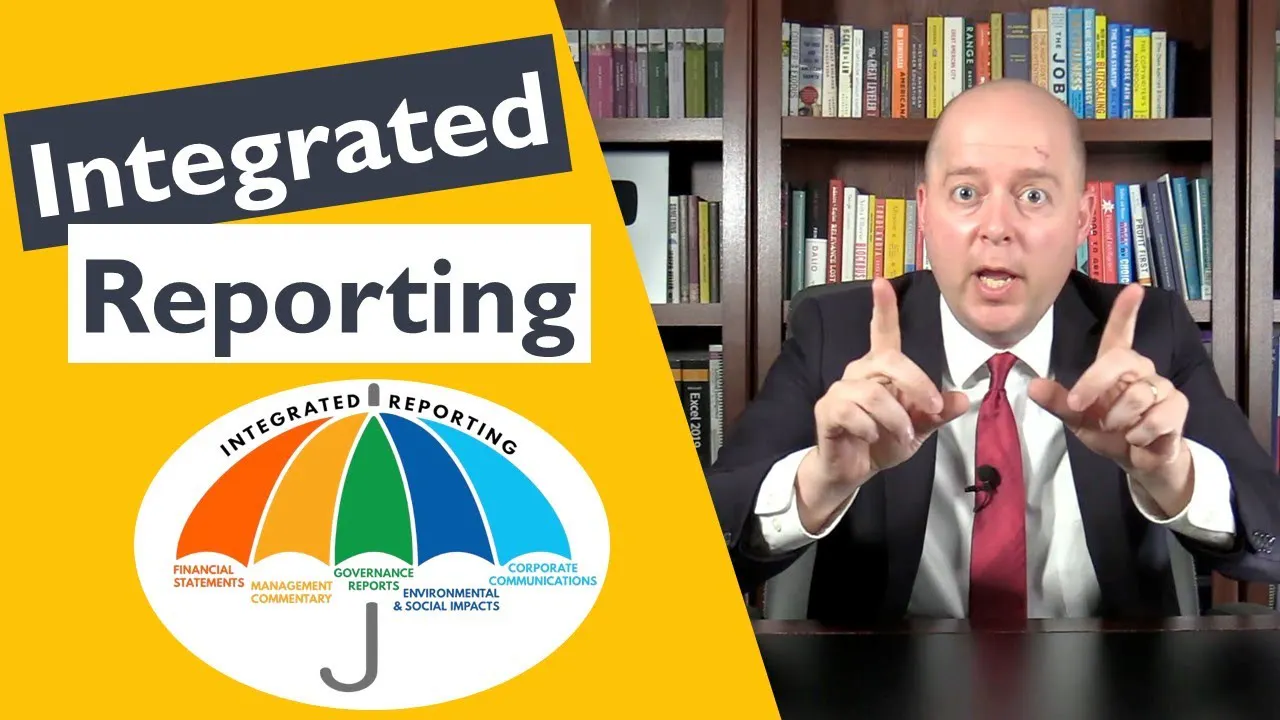 The International Integrated Reporting Council (IIRC)