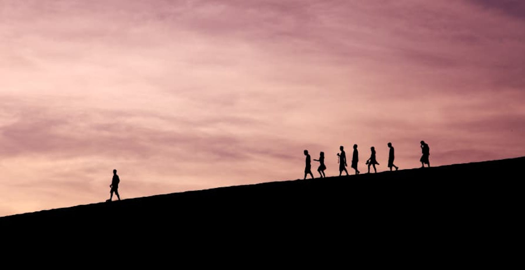 people following a leader into the sunset