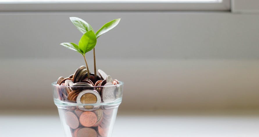 money in a glass with a tiny plant
