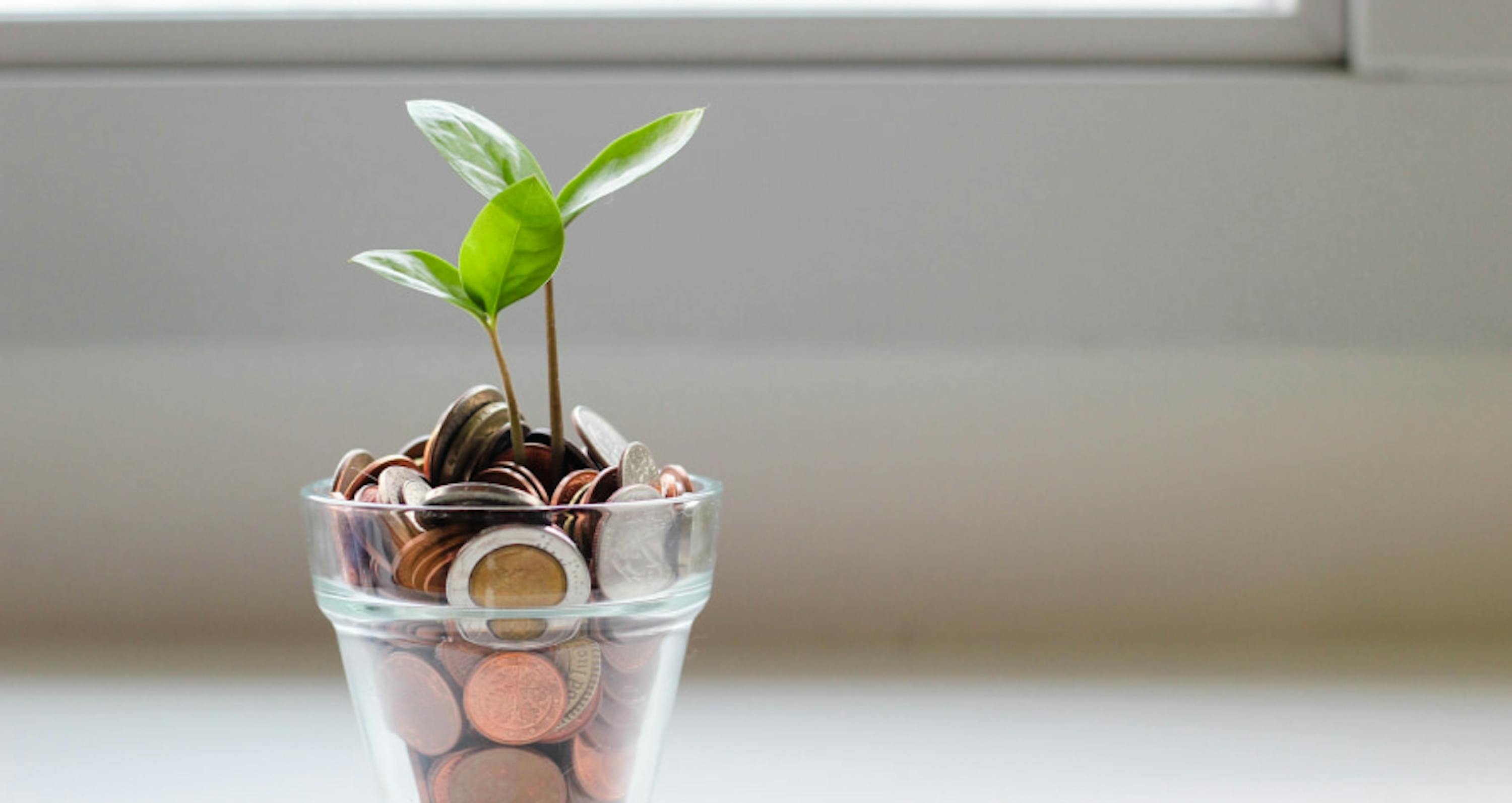 money in a glass with a tiny plant