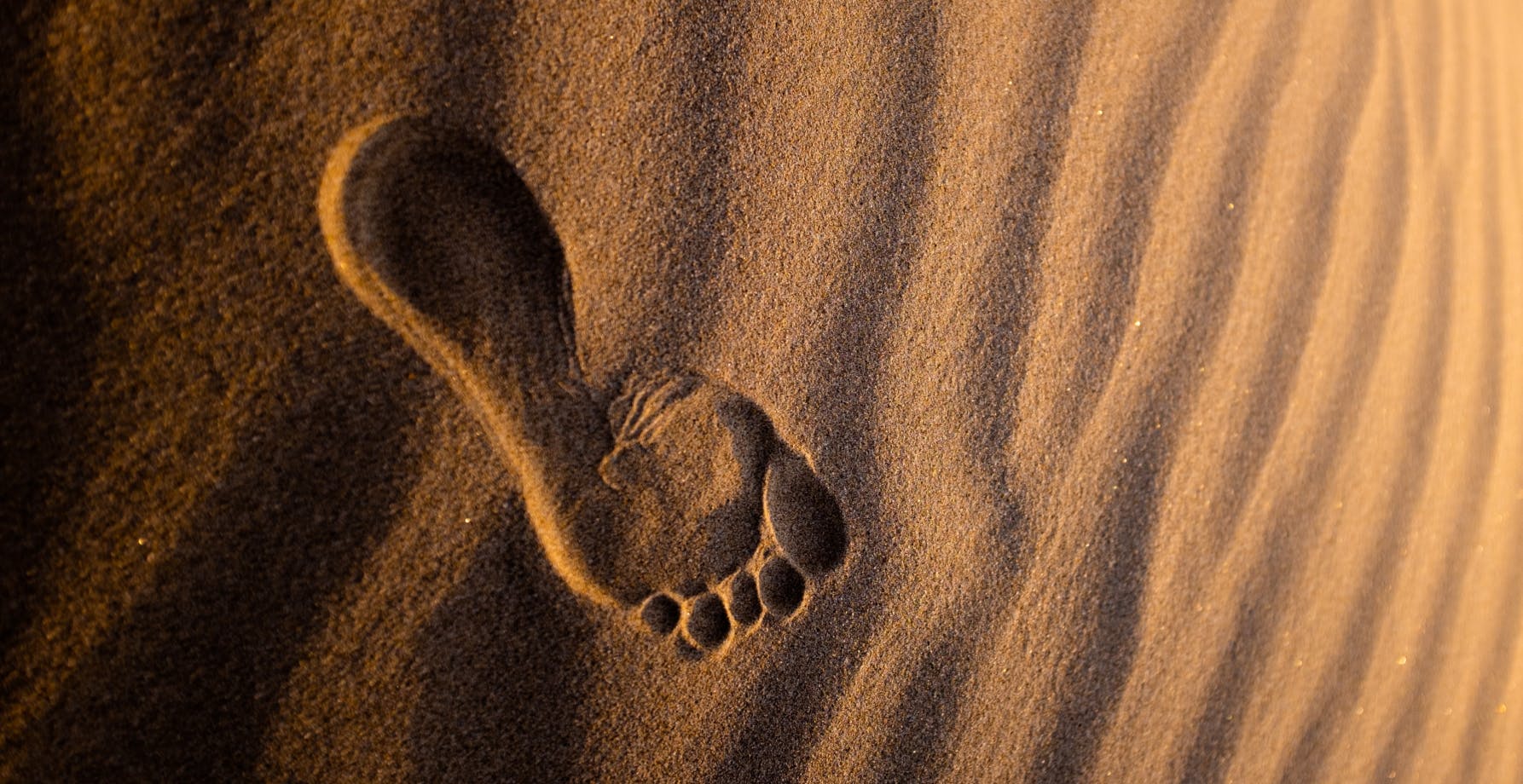 Pas humain sur le sable du désert