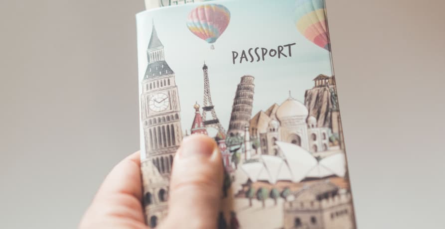 person holding passport with money