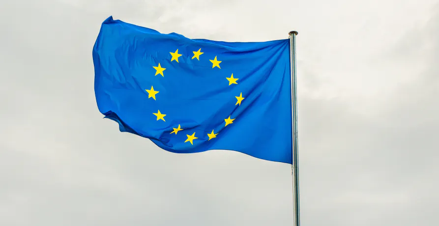 What is the Non-Financial Reporting Directive (NFRD)?