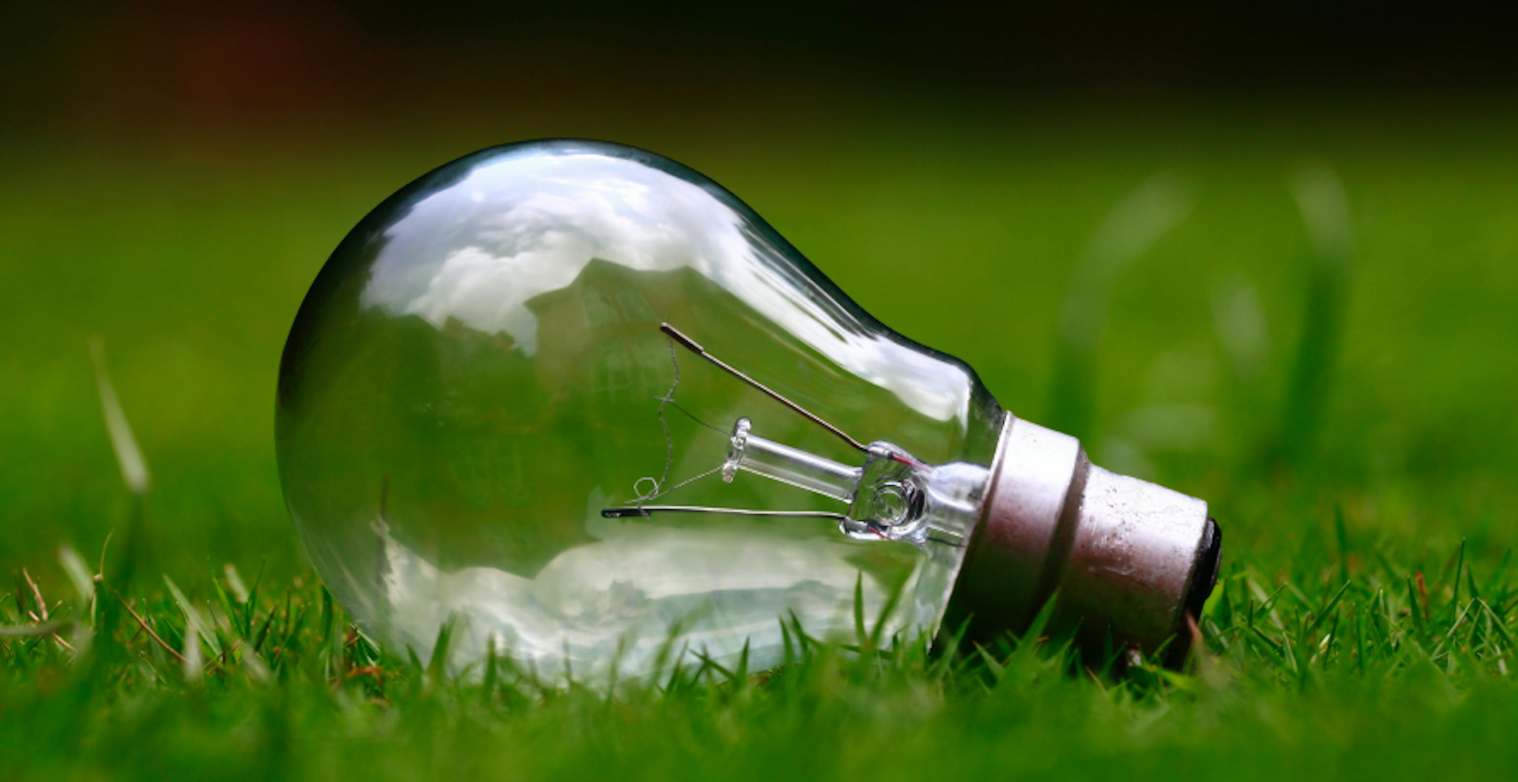 une ampoule posée sur l'herbe