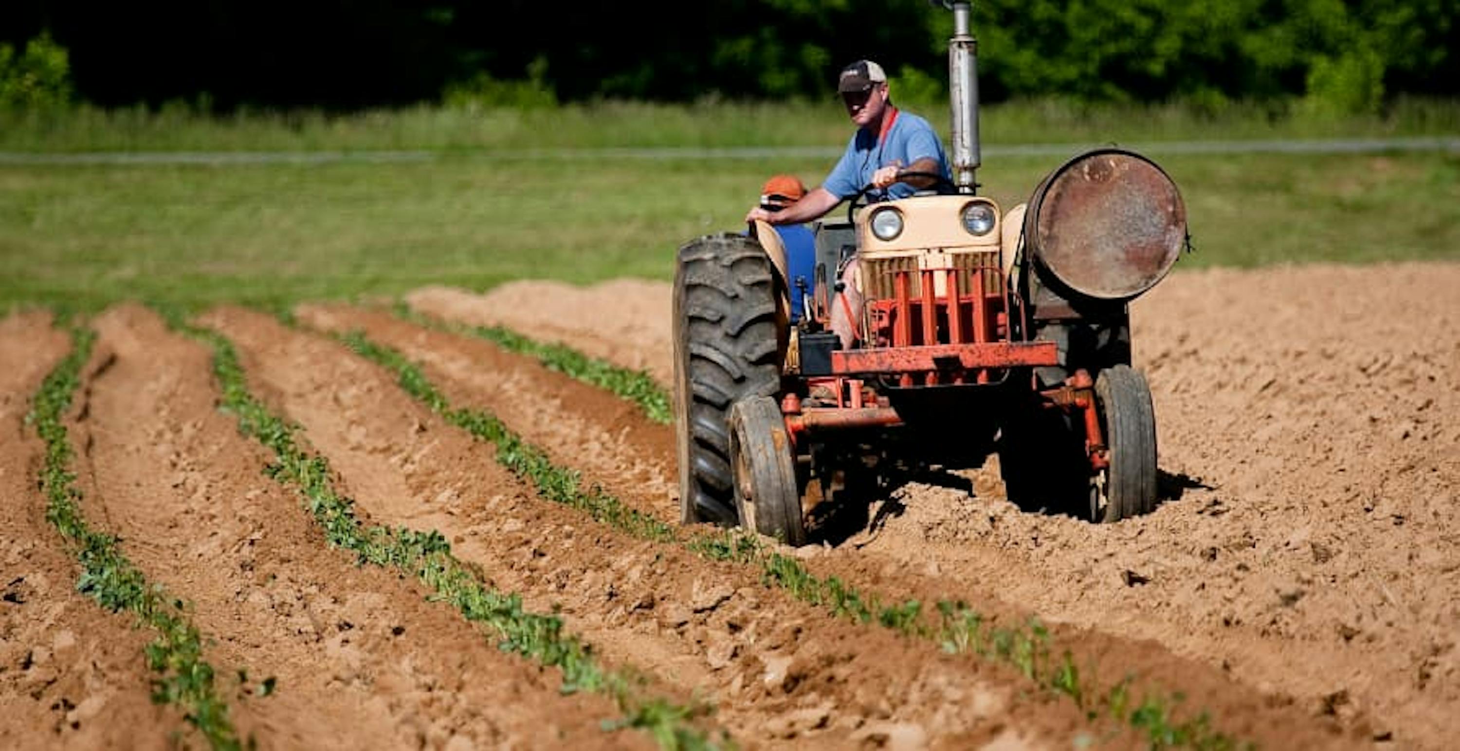 farmer ploughing field