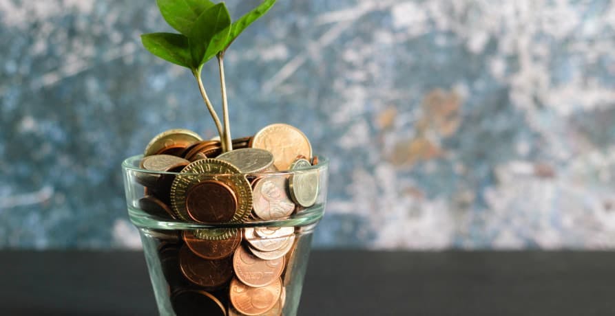 coins in a pot with a seedling money plant