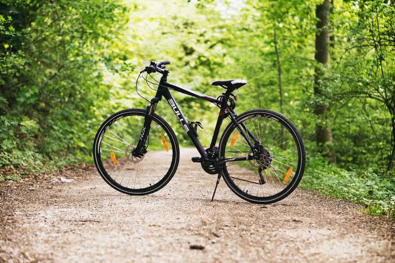 Vélo noir et blanc sur une route brune entre des arbres