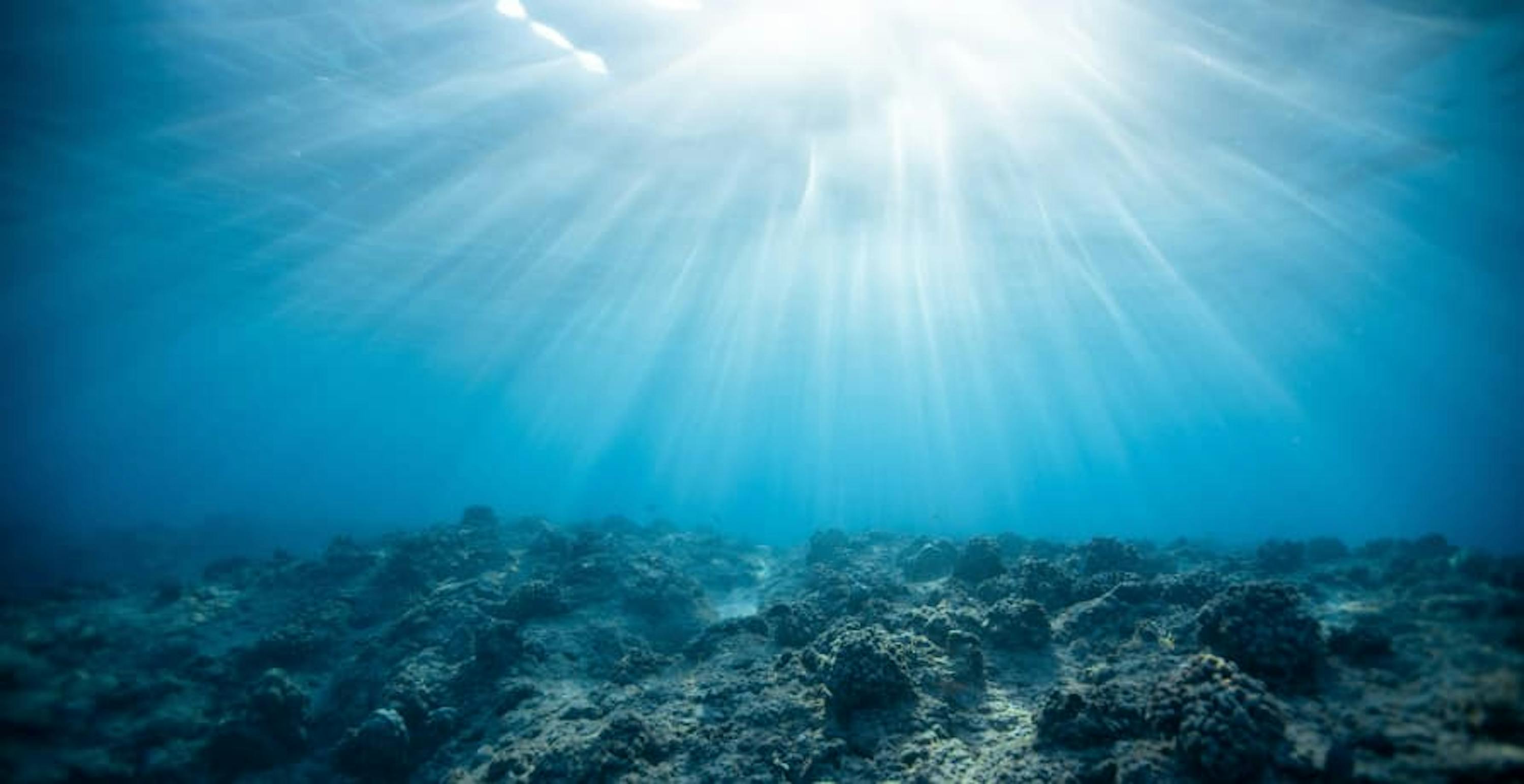 ocean floor with sun shining through the water