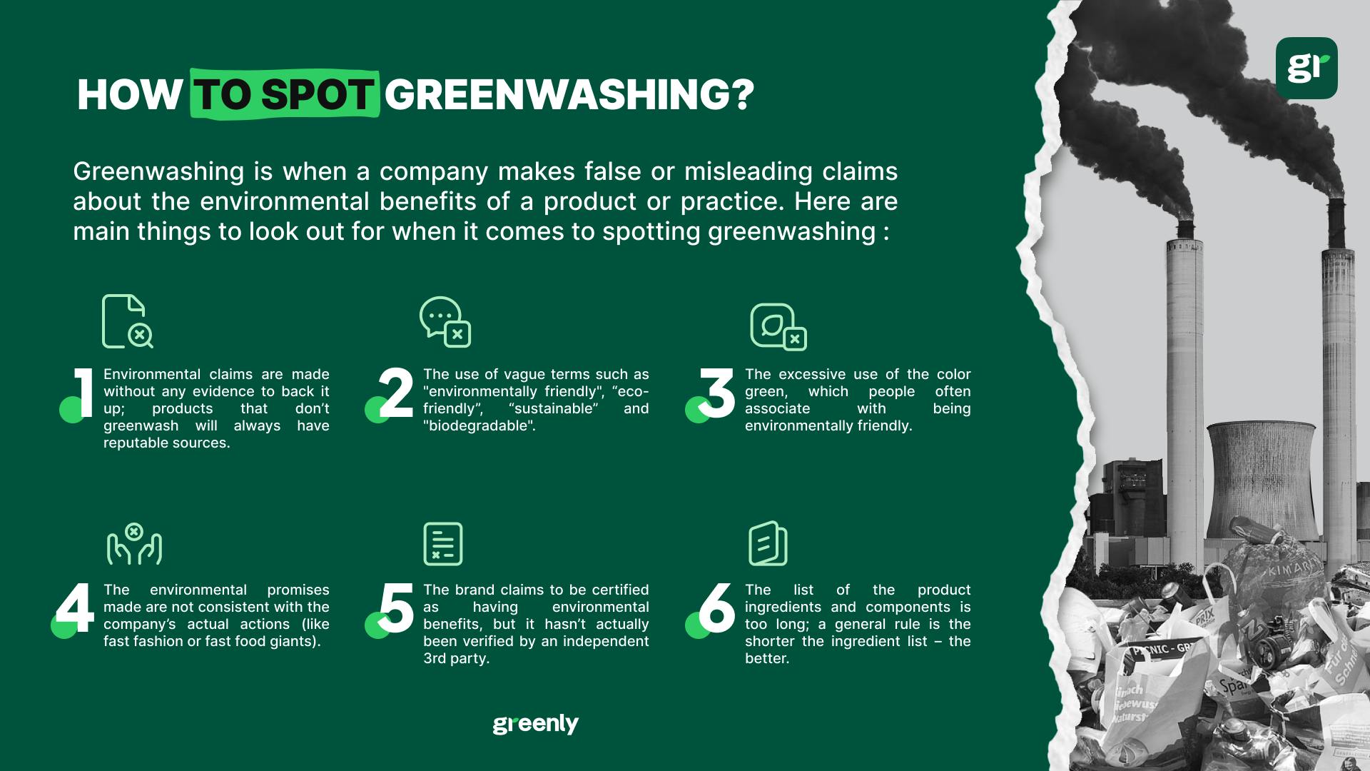 Greenwashing ingraophic cover
