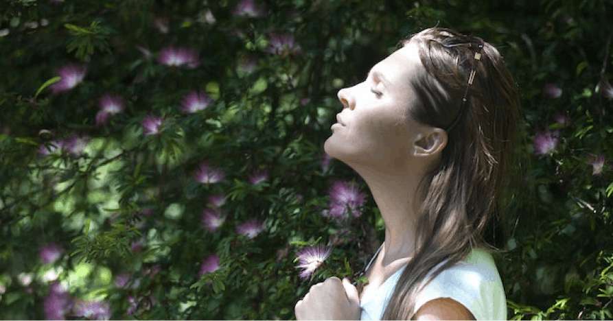 person in bush looking at flowers