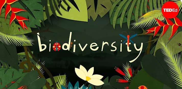 biodiversity ted talk thumbnail