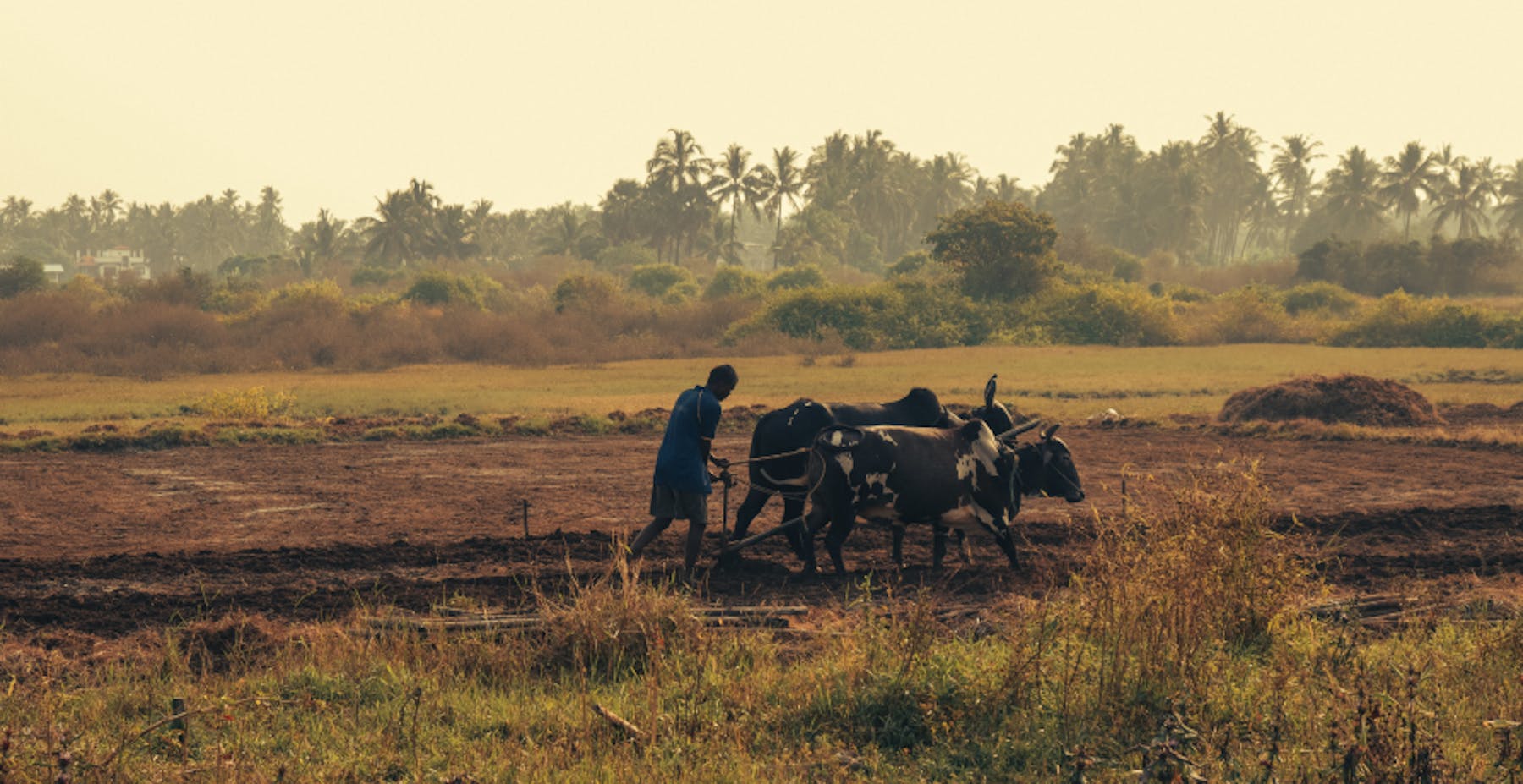 farmer in remote location 