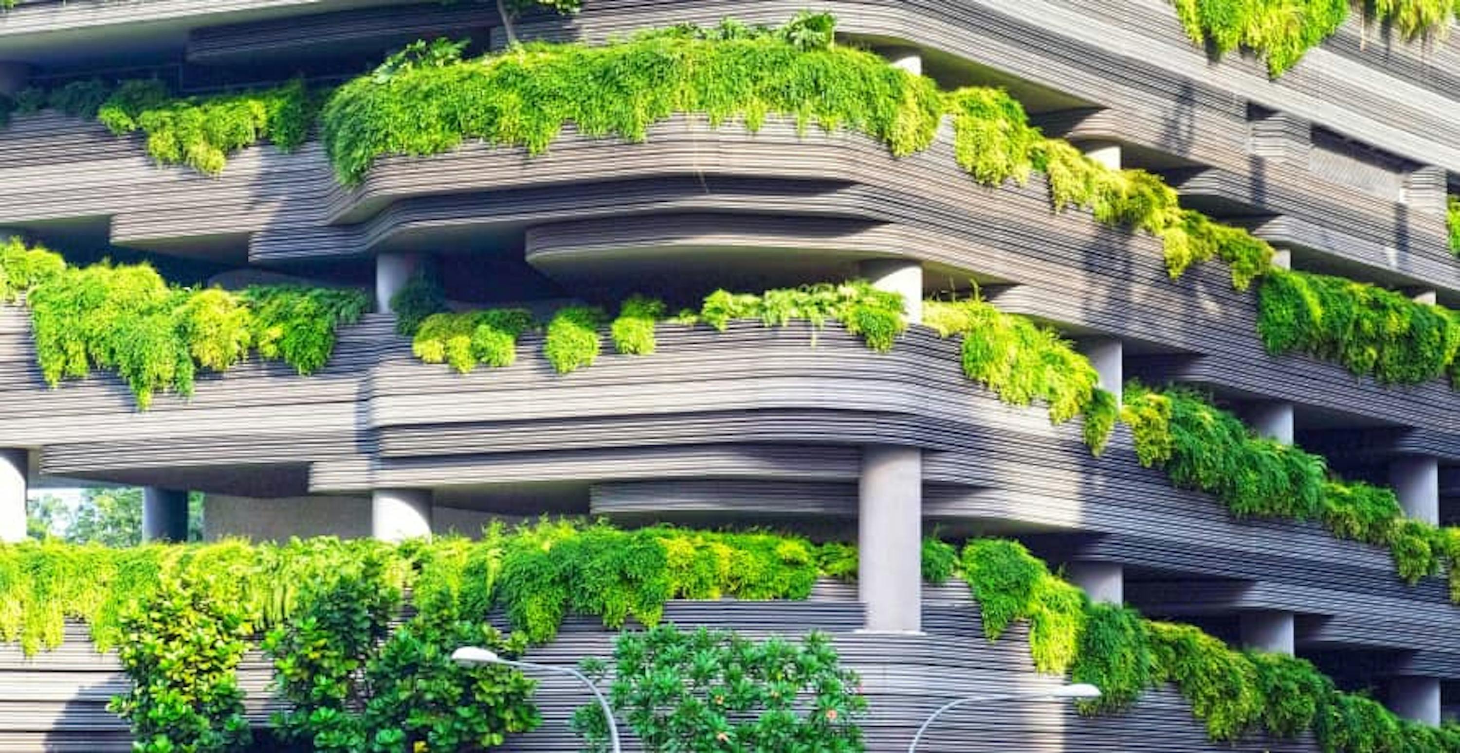 building side view with green plants