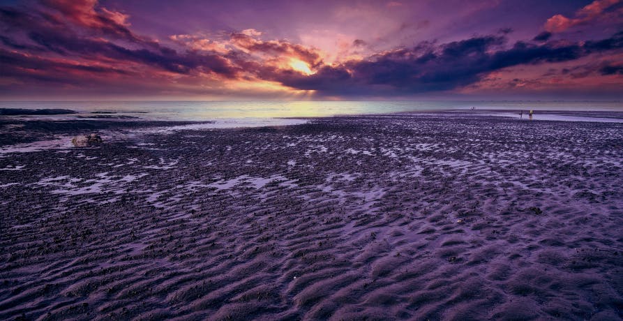 estuary at sunset