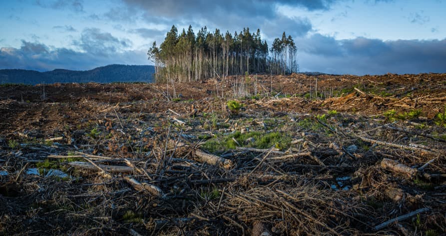 barren land after climate change effects