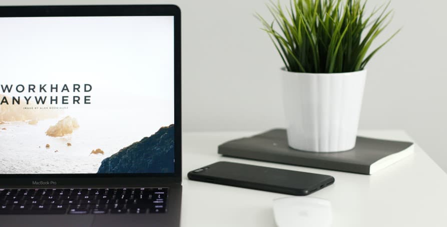 black laptop next to white potted plant