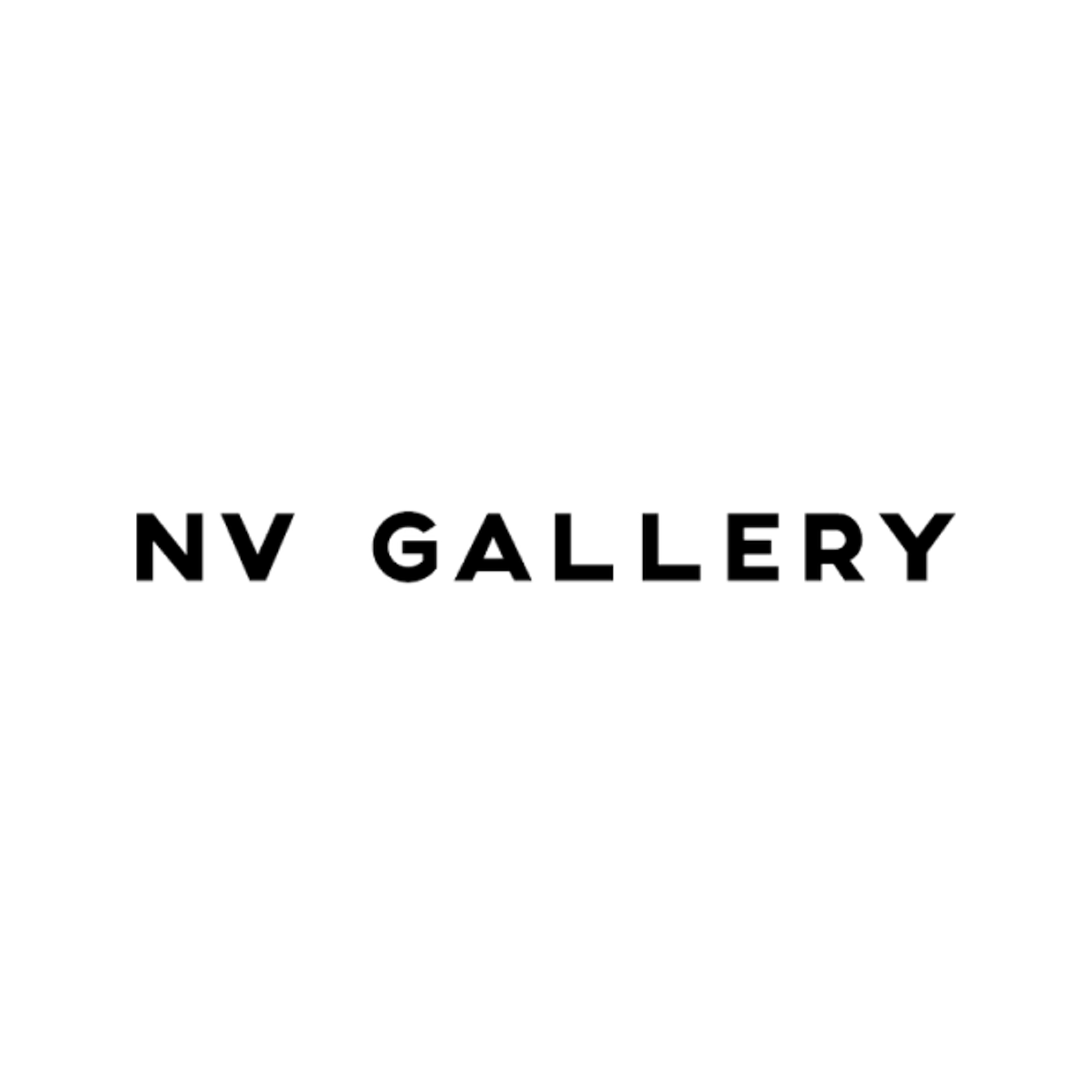 NV Gallery logo