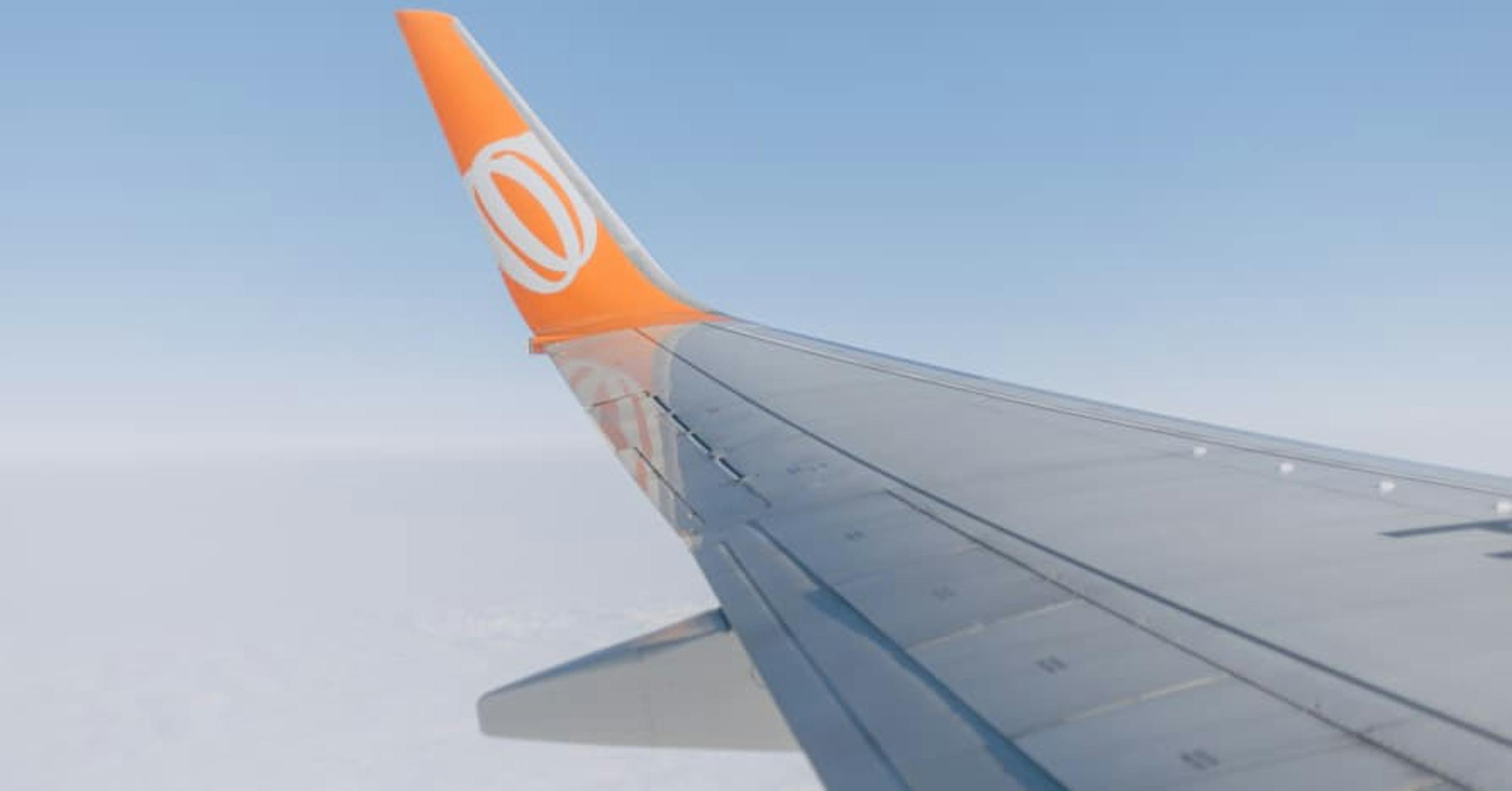 commerical air flight window seat view of wings inflight