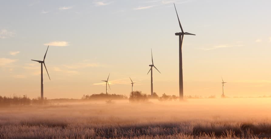 wind farm in the countryside