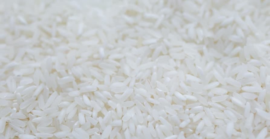 grains of white rice