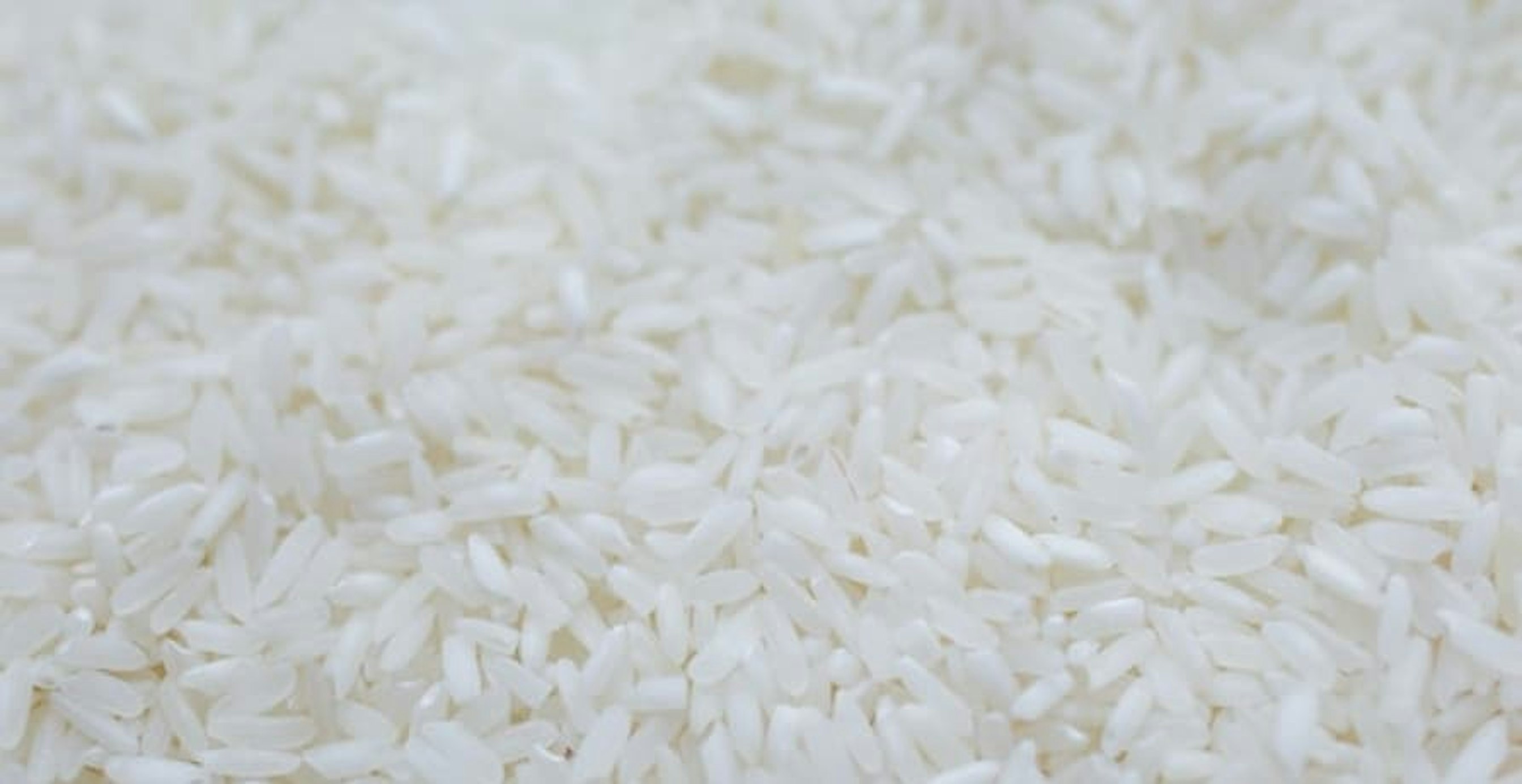 grains of white rice