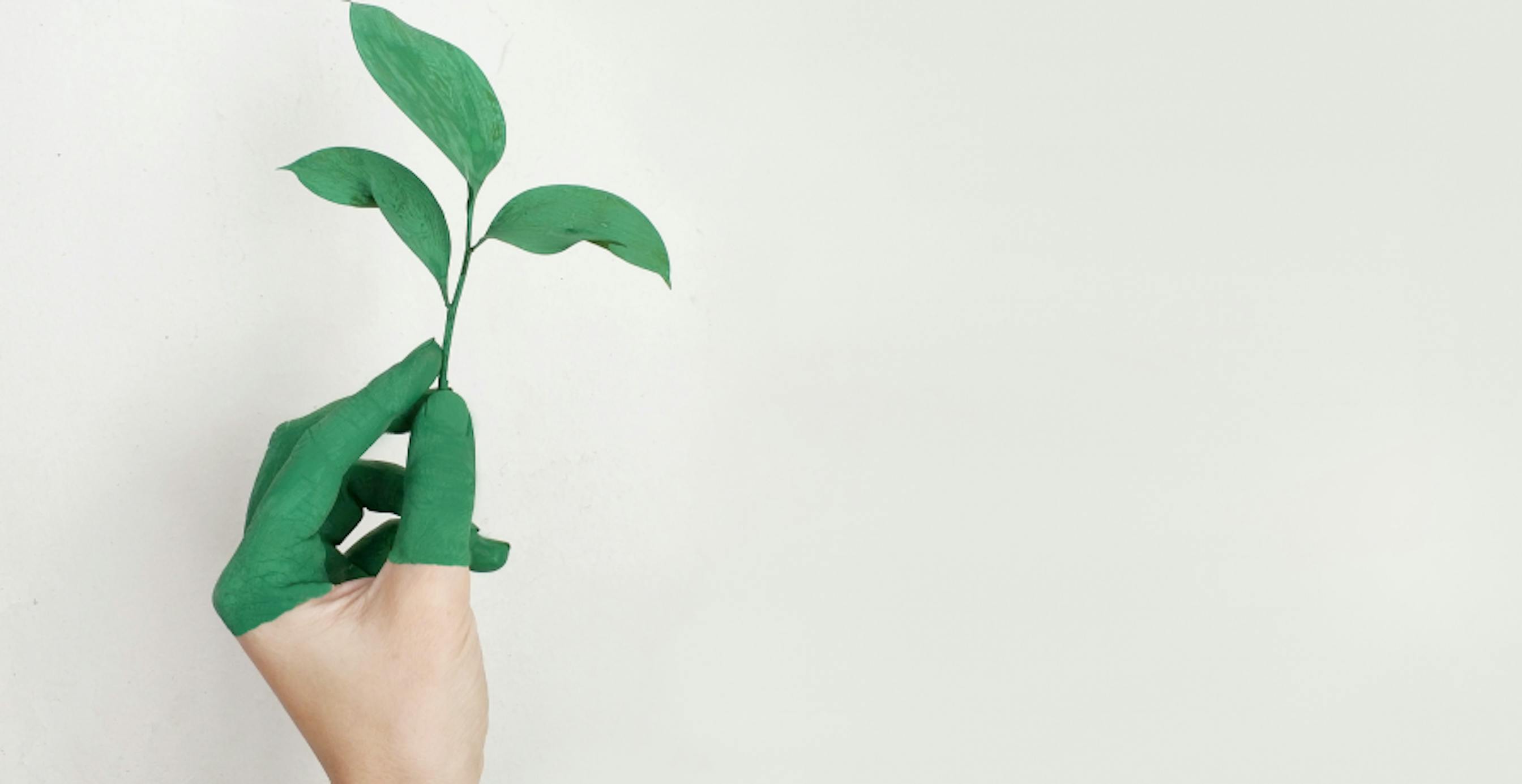green plant with person painted top half of hand same shade of green