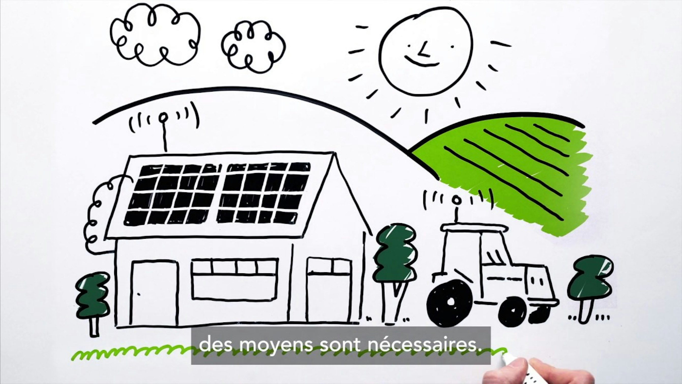 label greenenfin