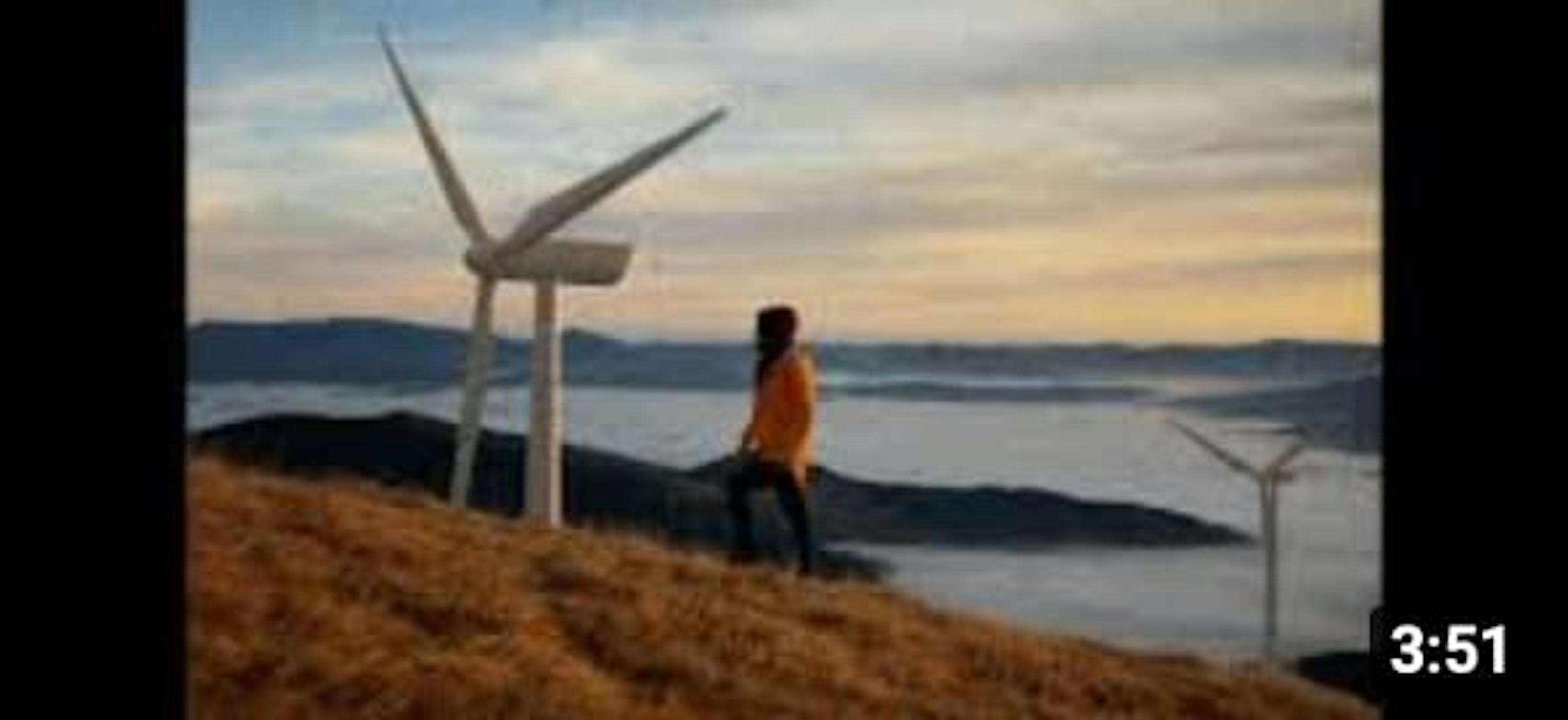 person near coast and wind turbines