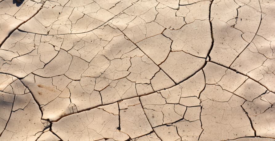 dry arid land