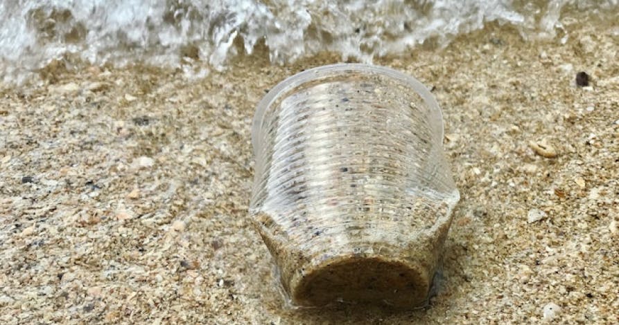 plastic cup on ocean with sand