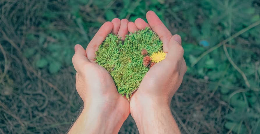 someone holding green plants or moss in their hands