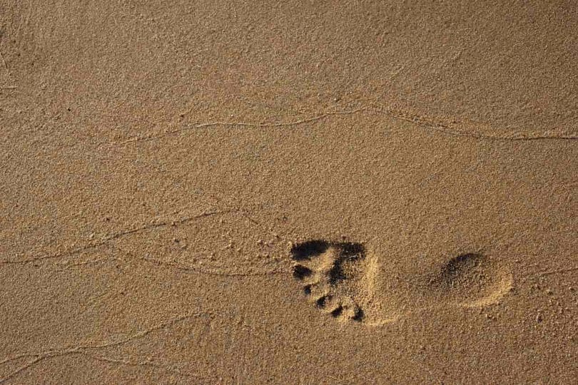 A footprint in the sand